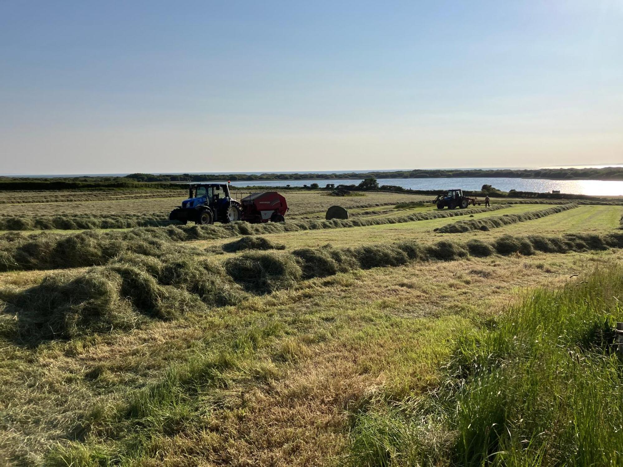 הוילה ברידג'נד Kenfig Farm מראה חיצוני תמונה